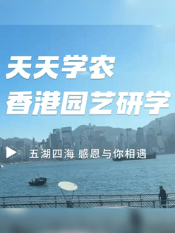 与香港园艺学会联合举办香港园艺研学，专业园境师带队讲解。