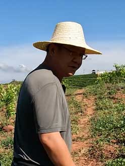 农业人叶涛，50多岁通讯人跨界搞农业，他要用1000万打造一个梦。